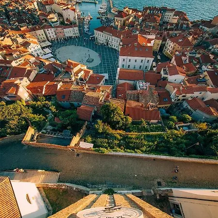 Apartman Apartma Tara