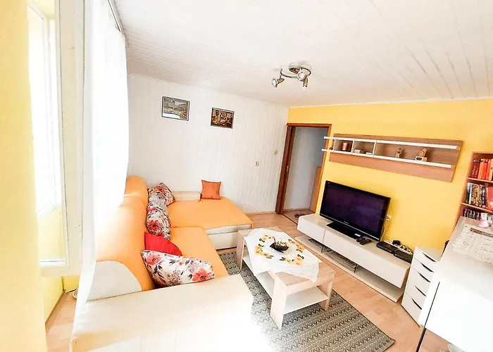 Apartma Tara Apartment